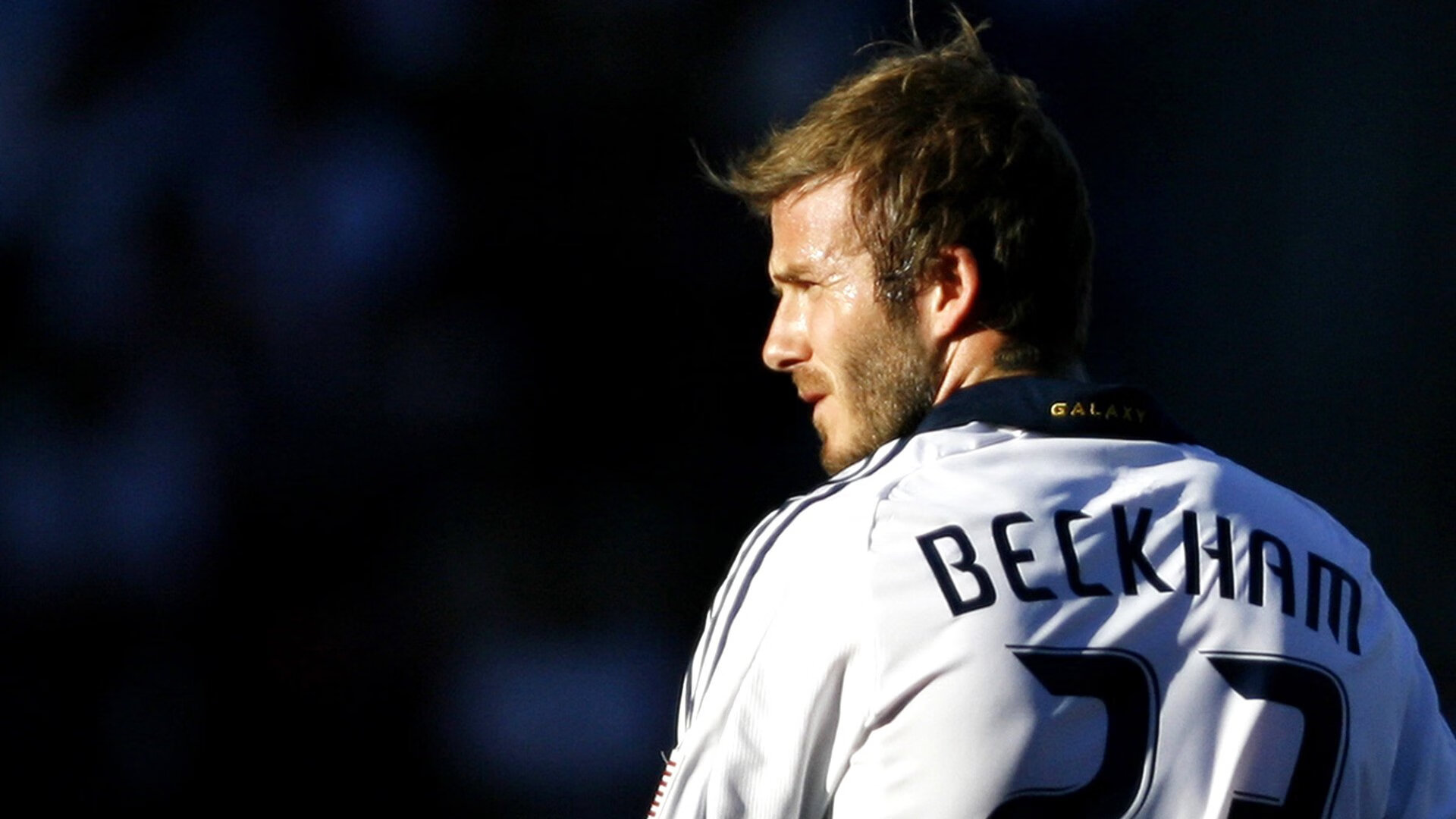 特色海沿岸沙滩犁地赛，绿海蓝天中的生态运动，犁地 视频